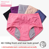 Culotte anti-fuites d'Aveline
